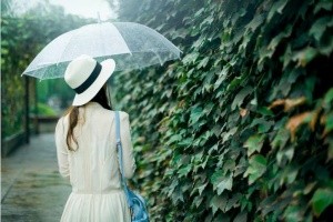 [苏州调查取证]对行政许可申请人隐瞒有关情况需要承担哪些责任？